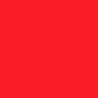 Cadmium Red Hue 169-033